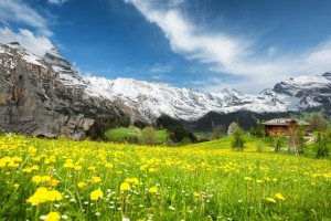 Grindelwald, Switzerland